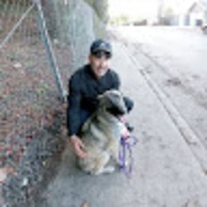 Meet your Posher, Thomas